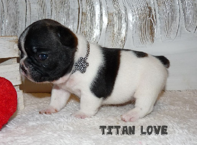 Titan love