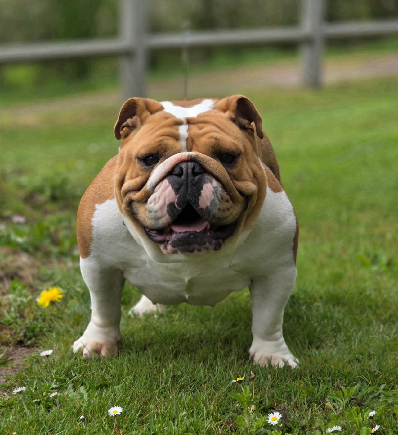 U'LOVE CHARLOTTE Des éclats De Cassiopée