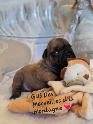 A'GUS